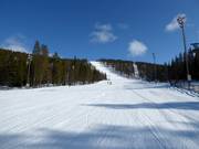 World Cup Downhill G.2