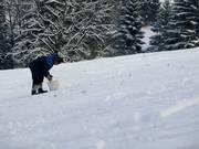 Stones are collected from the slope by hand