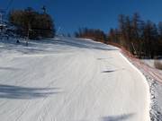 Luc Alphand downhill run