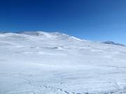 Freeride hotspot Kobåset at Storkittelhobben