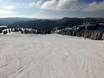 Ski resorts for beginners in Germany (Deutschland) – Beginners Feldberg – Seebuck/Grafenmatt/Fahl