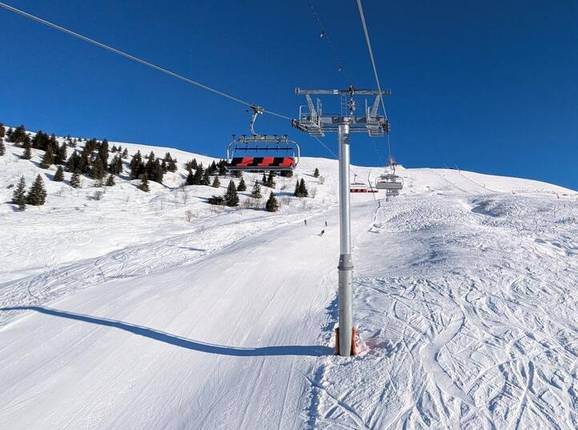 Douce - © Michael Medek - Photo: Michael Medek