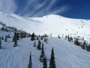Powder snow area below Gravenstafel Mountain
