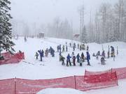 Tip for children  - Red Pine children's area