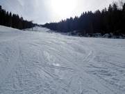 Very good slope preparation in the ski resort of Ravna Planina