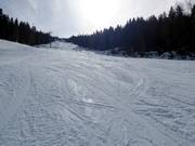 Very good slope grooming in the Ravna Planina ski area