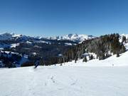 Laouissalet slope (Les Diablerets)
