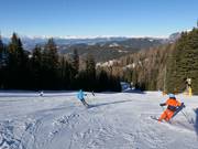 Valley run Ochsenweide