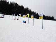 Ski school grouping at the mountain station