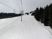 Fontaine downhill run