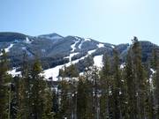 View of the ski area from Panorama