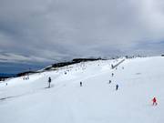 View towards Skyline Park