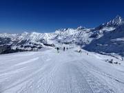 Easy slope Schafbichel