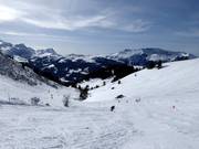 Easy slope to Bühlberg-Metschmaad