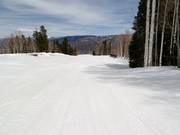 Descent T-Lazy-7-Catwalk