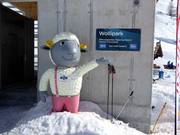 Tip for children  - Wolli Beginner Park Sunnegga