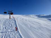 Wide Zirmes slope above the tree line