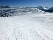 Braunkogel downhill run