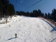 Raut-Vierschach slope