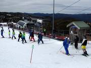 Bourke Street Carpet - People mover