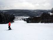 The ski slope from the mountain station