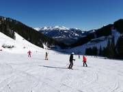 Easy slopes in the Horbergtal