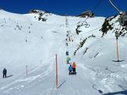 Osterfelderkopflift - T-bar