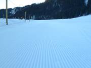 Very good slope grooming