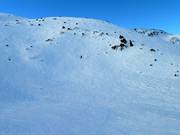 Powder snow area at Knob Chair