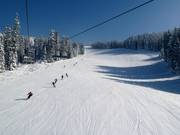 The wide FIS downhill run