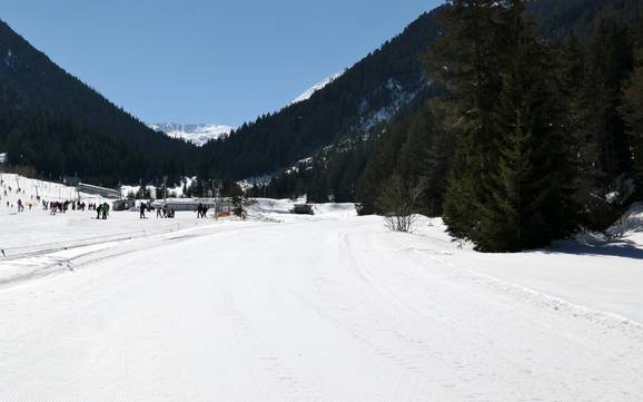 Cross-country skiing Pirin Mountains – Cross-country skiing Bansko
