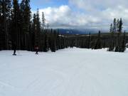 Easy slope Hummingbird at Plaza Chair
