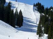 Difficult slope No. 38 Diretissima (Schlagl)