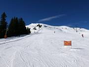 Practice slope at the Sücka button lift