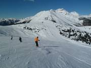 Difficult slope Steinermandl (Jochtal)