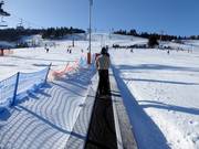 The Bartuś conveyor belt is ideal for beginners.