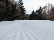 Perfect slope grooming in the Furano ski area