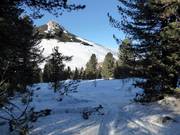 Gentle tourism in the ski resort of Jochgrimm (Passo Oclini)