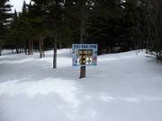 Fun forest run for children