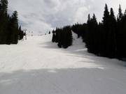 Pussyfoot downhill run