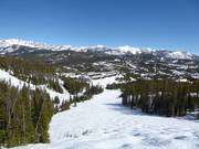 Bad Dogs downhill run