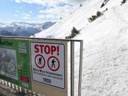 Forest and Wildlife Sanctuary at the mountain station