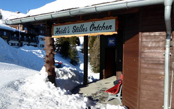 Alpine Rhine Valley (Alpenrheintal): cleanliness of the ski resorts – Cleanliness Pizol – Bad Ragaz/Wangs