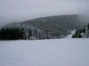 Slope at the drag lifts