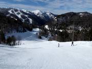 Slope No. 17 Kolašin 1600