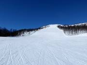 Difficult slope Ølkorken No. 11 (Gullsteinhovda)