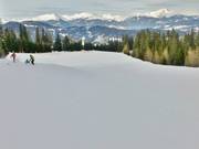 Middle section of the Familienabfahrt