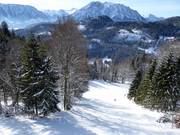 View from the gondola lift onto the FIS downhill run