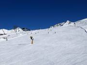 Family Happiness Slope