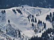 Mogul slope overview: Gueux Noir